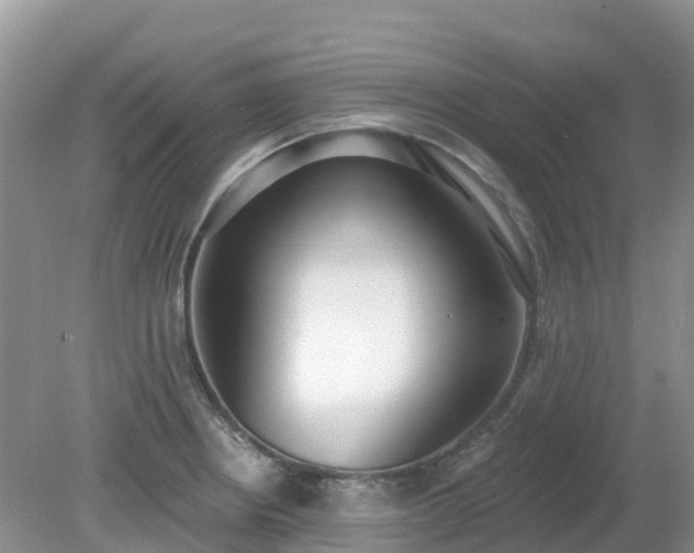 X0000079311234200611251730