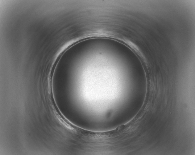 X0000079311238200611251730