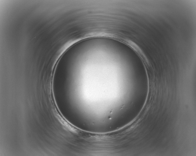 X0000079311244200611251730