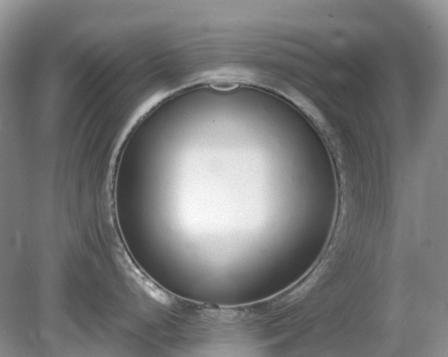 X0000079311248200611251731