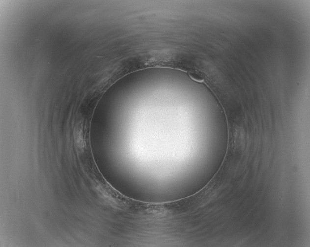 X0000079311250200611251730