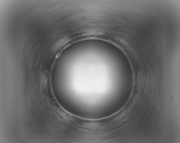 X0000079311257200611251730