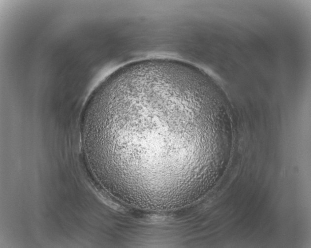 X0000079311271200611251729