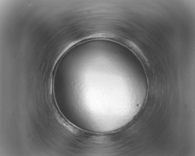 X0000079311276200611251729