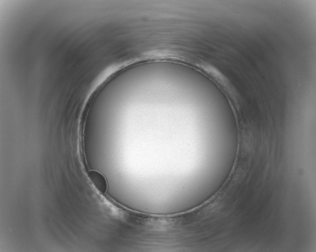 X0000079311286200611251729