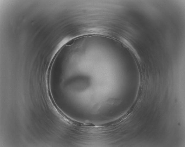 X0000079311291200611251729