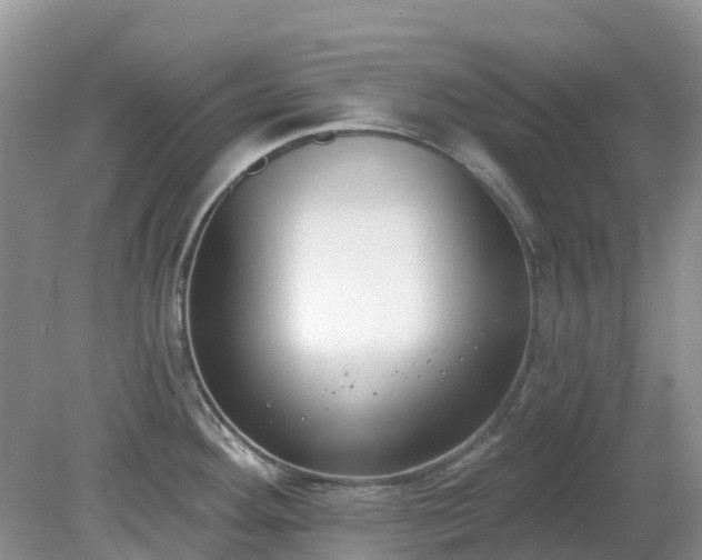 X0000079311292200611251729