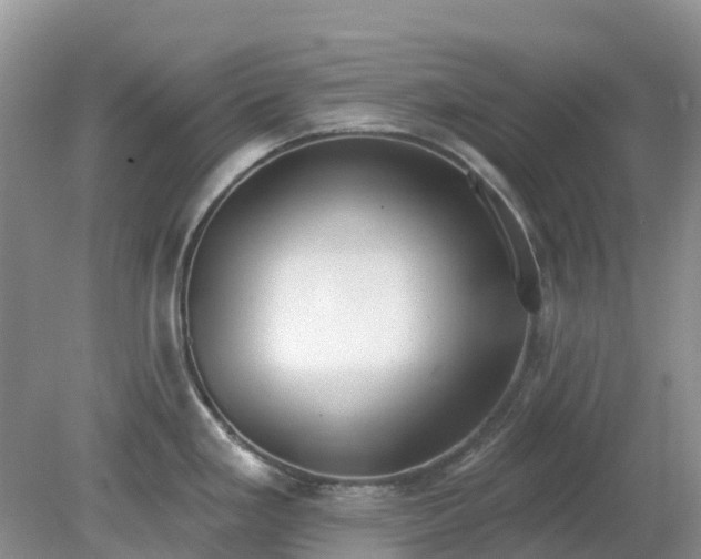 X0000079311293200611251729