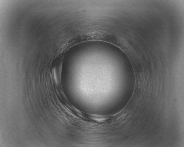 X0000079311298200611251728