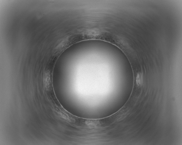 X0000079311299200611251728