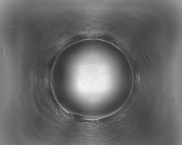 X0000079311300200611251728