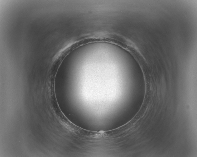 X0000079311304200611251728