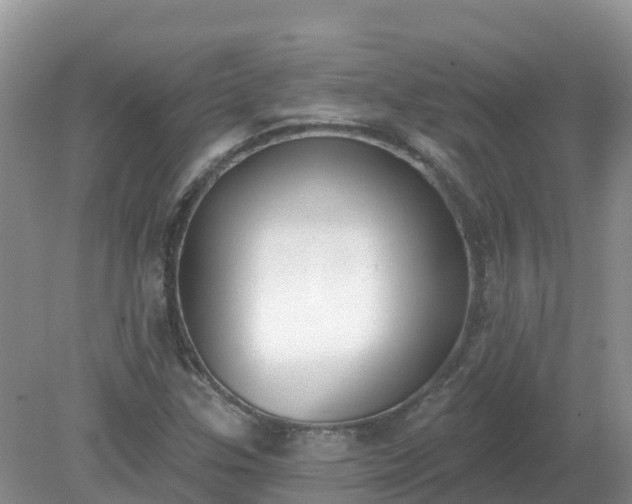 X0000079311307200611251728