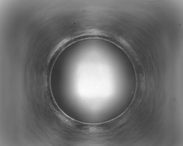 X0000079311318200611251728