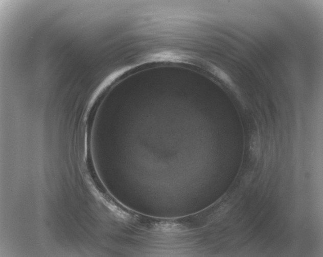 X0000079311323200611251729