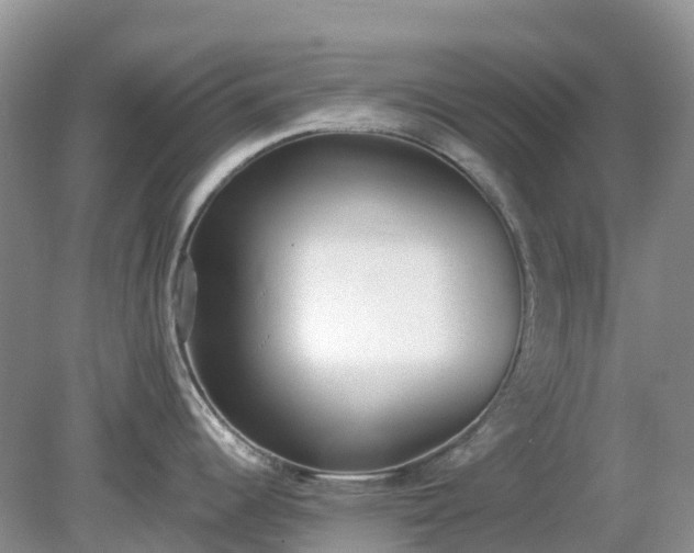 X0000079311344200611251729