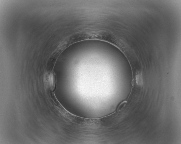 X0000079311347200611251728