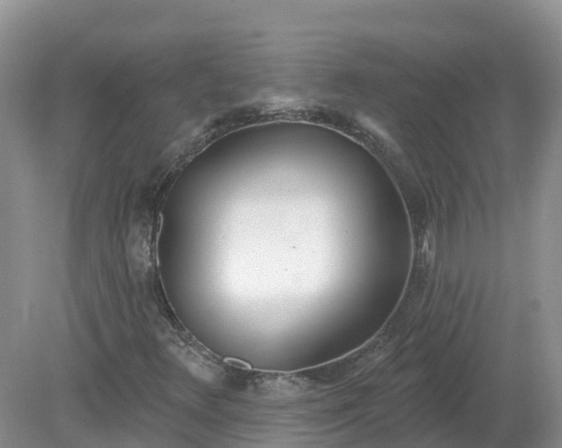 X0000079311348200611251728