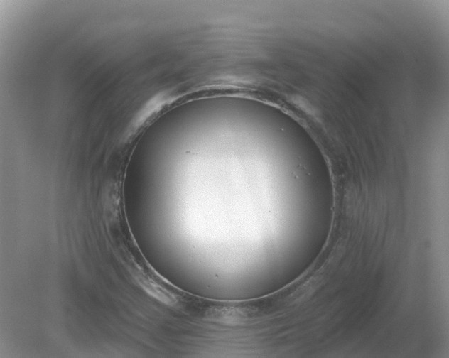 X0000079311355200611251728