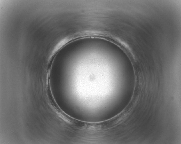 X0000079311365200611251728