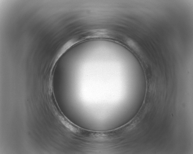 X0000079311370200611251728