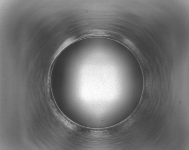 X0000079311378200611251728