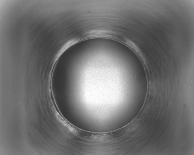 X0000079311386200611251727