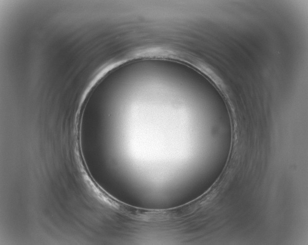 X0000079311392200611251727