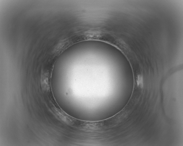 X0000079311396200611251727