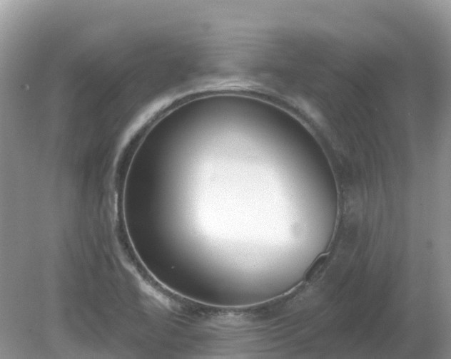X0000079311414200611251727