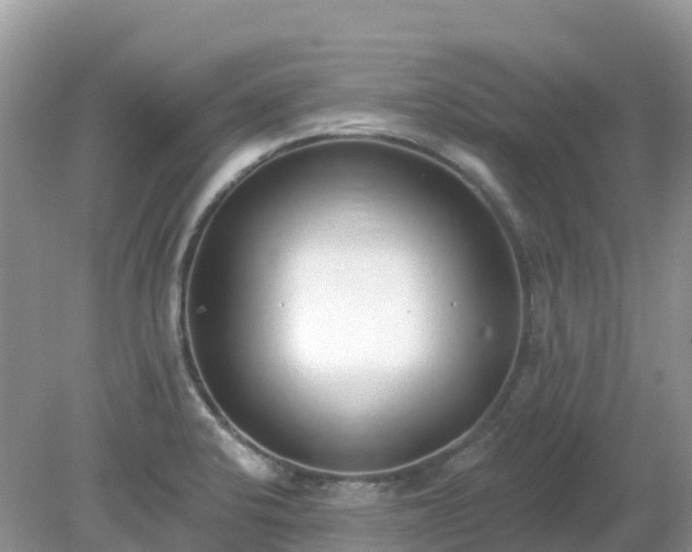 X0000079311424200611251727