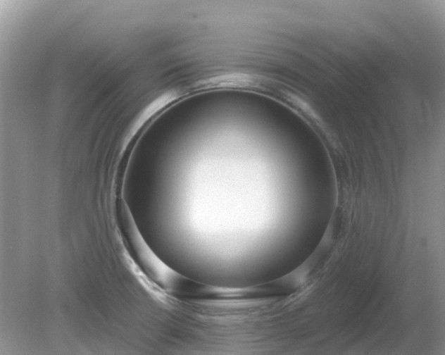 X0000079311426200611251727