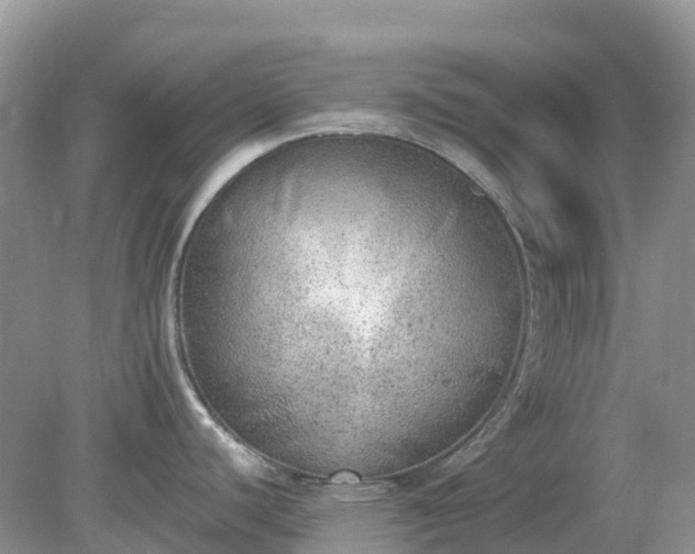 X0000079311440200611251727