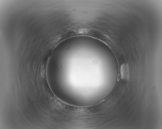 X0000079311443200611251726