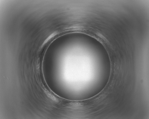 X0000079311450200611251726