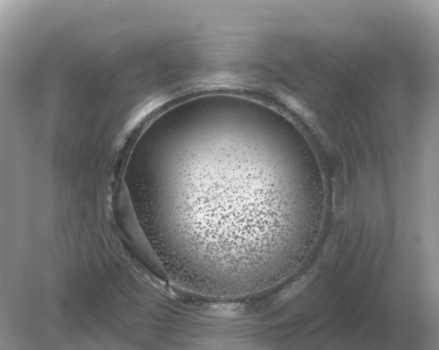 X0000079311453200611251726