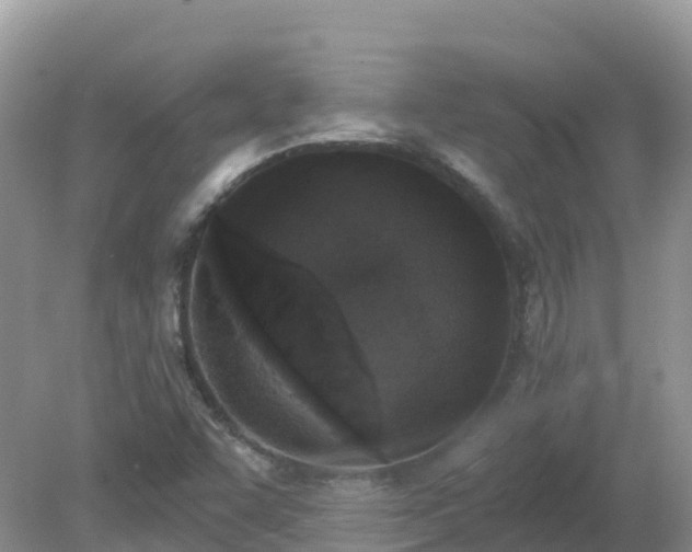 X0000079311455200611251726