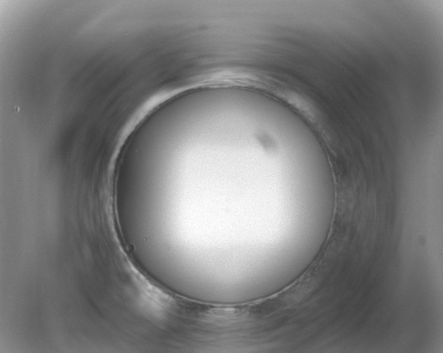 X0000079311478200611251726