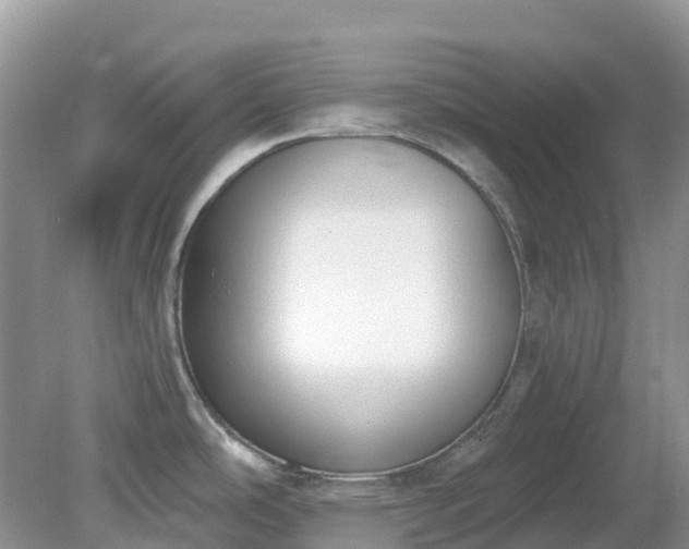 X0000079311486200611251726