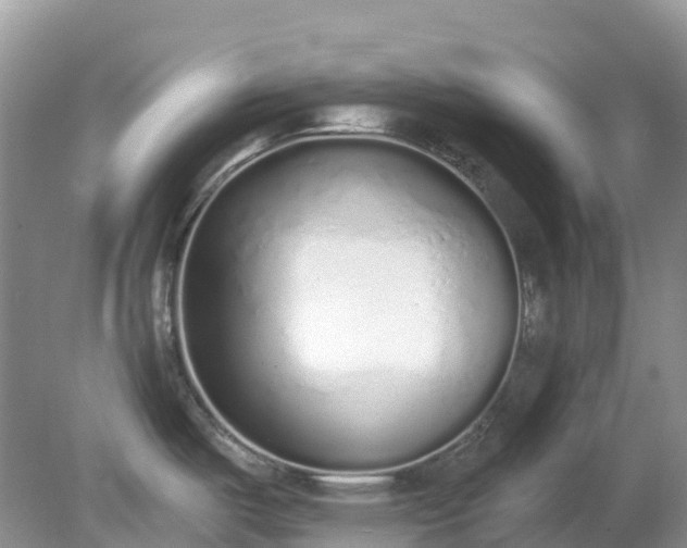X0000079311487200611251726