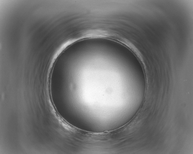 X0000079311488200611251726