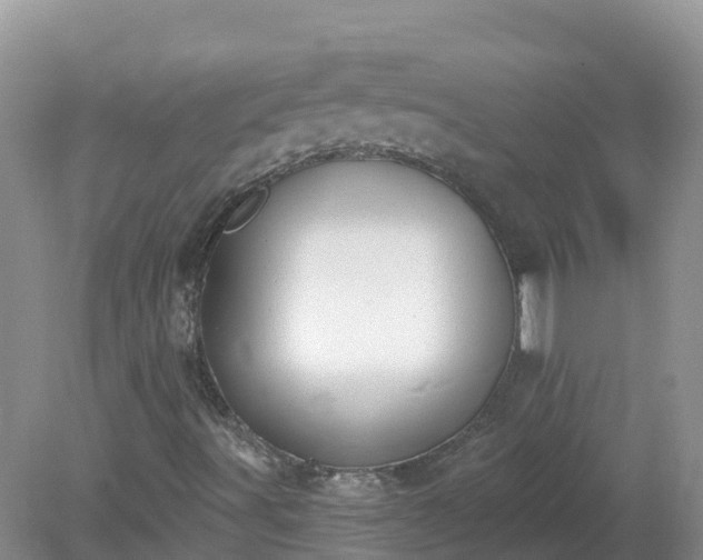 X0000079311491200611251725