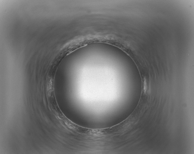 X0000079311492200611251725