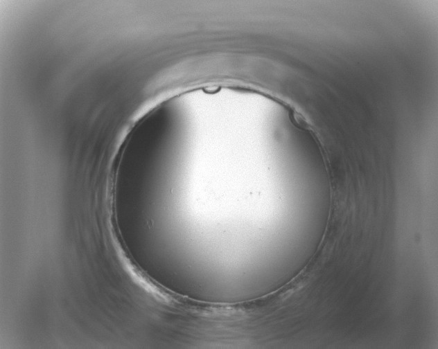 X0000079311526200611251726
