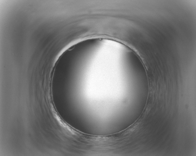X0000079311534200611251726