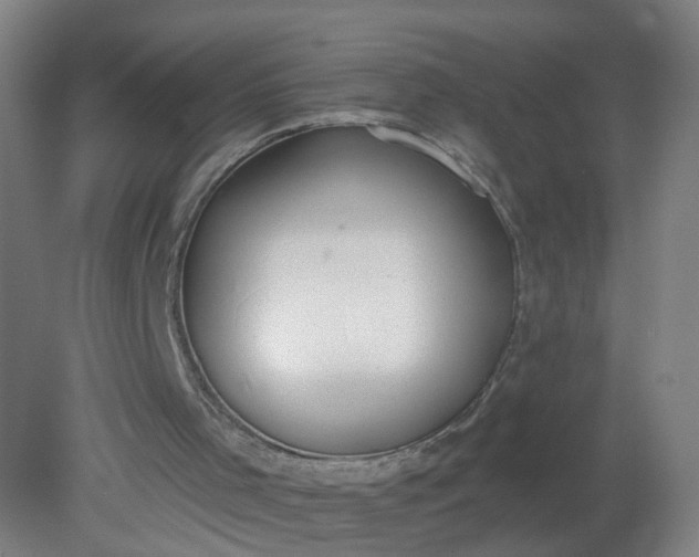 X0000079310001200612011828