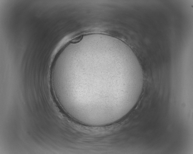 X0000079310006200612011828
