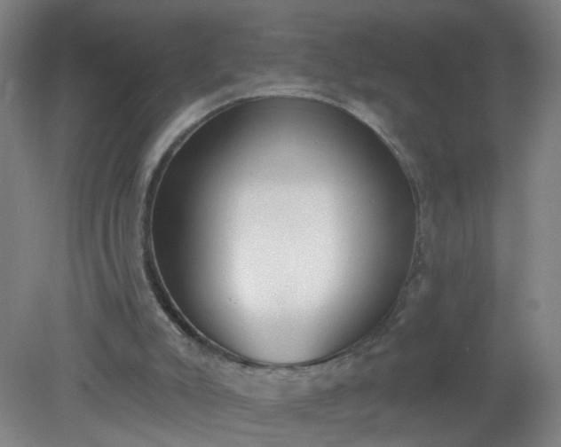 X0000079310007200612011828