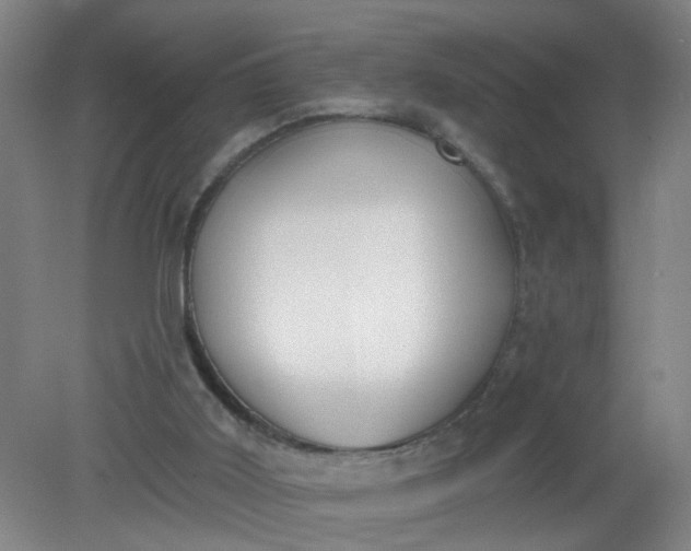 X0000079310011200612011828