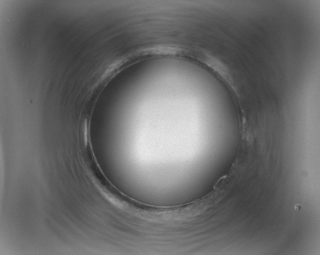 X0000079310013200612011828